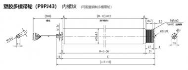 電動(dòng)輥筒 塑膠多楔帶輪（P9PJ43） 內(nèi)螺紋 （可配置鋼制多楔